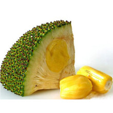 冰雪奇缘2国语版