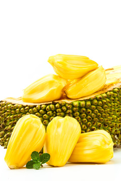 养鬼吃人9：启示录