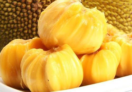 全家变身大作战