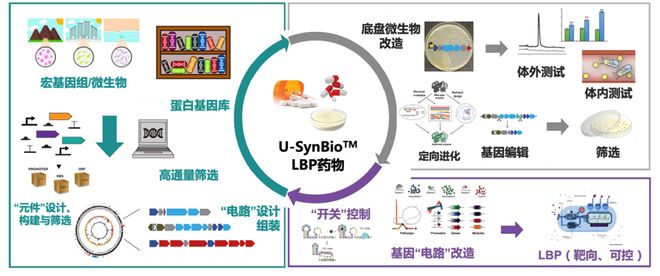 再见美人鱼（下部）