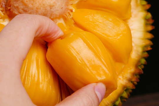 八百壮士 八百壯士